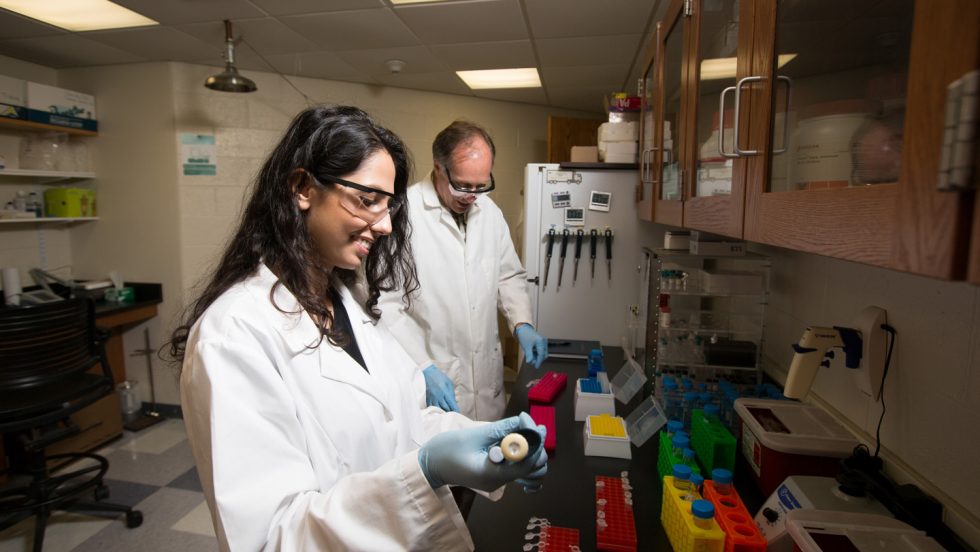 Adelphi Research: Exploring Quality, Documentation, and Product Details